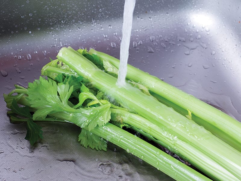 Celery stalks are being washed in a stainless steel sink basin. 