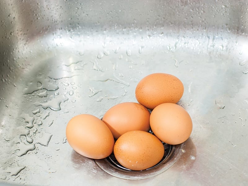 Five brown eggs sit inside of a stainless steel sink.